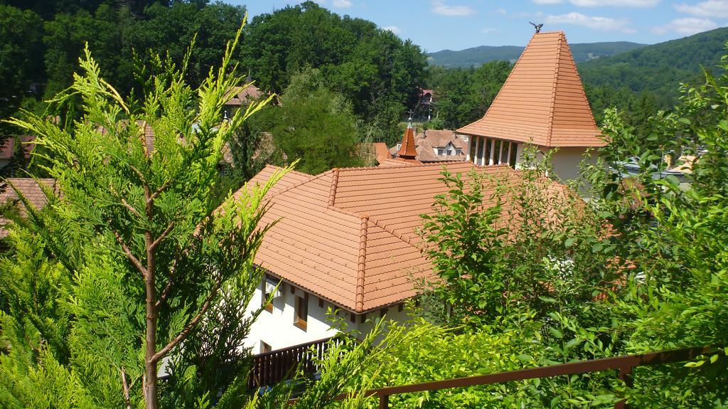 Vila Silvia Sovata Exterior photo